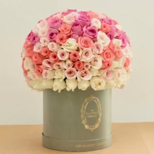 Lollipop - Classic Ronde